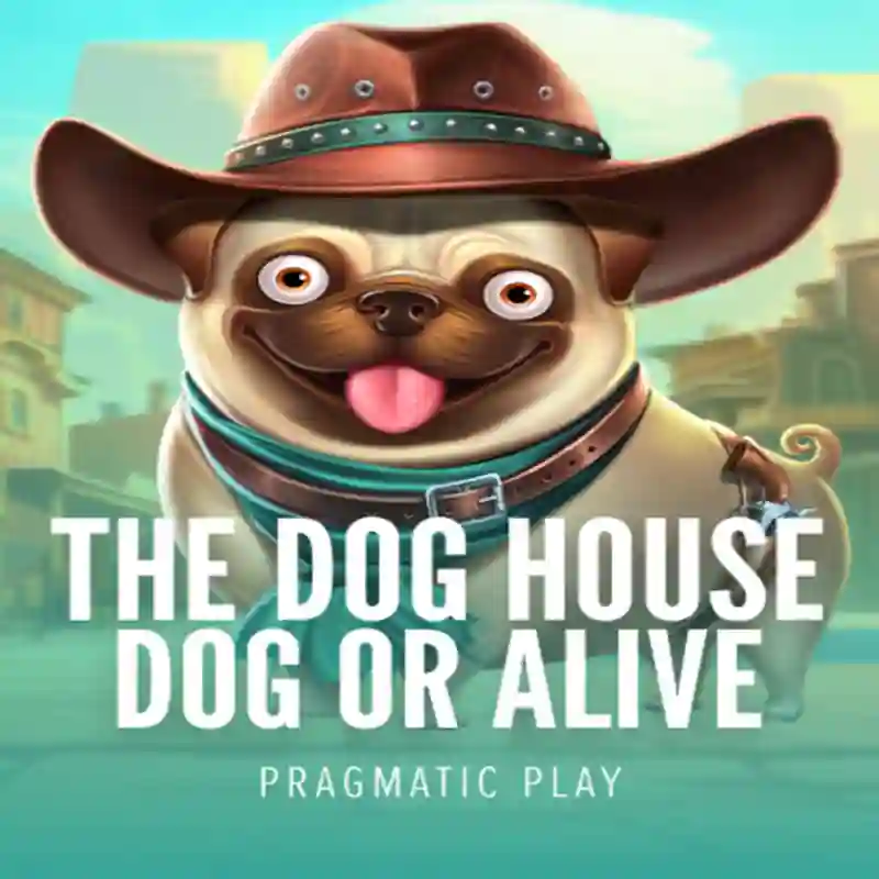Jugar Dog House Dog & Alive en mxco